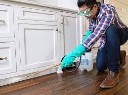 Real Estate Pest Inspections in Edgewater, NJ